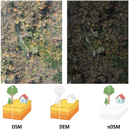 DSM, DEM, nDSM, DOM